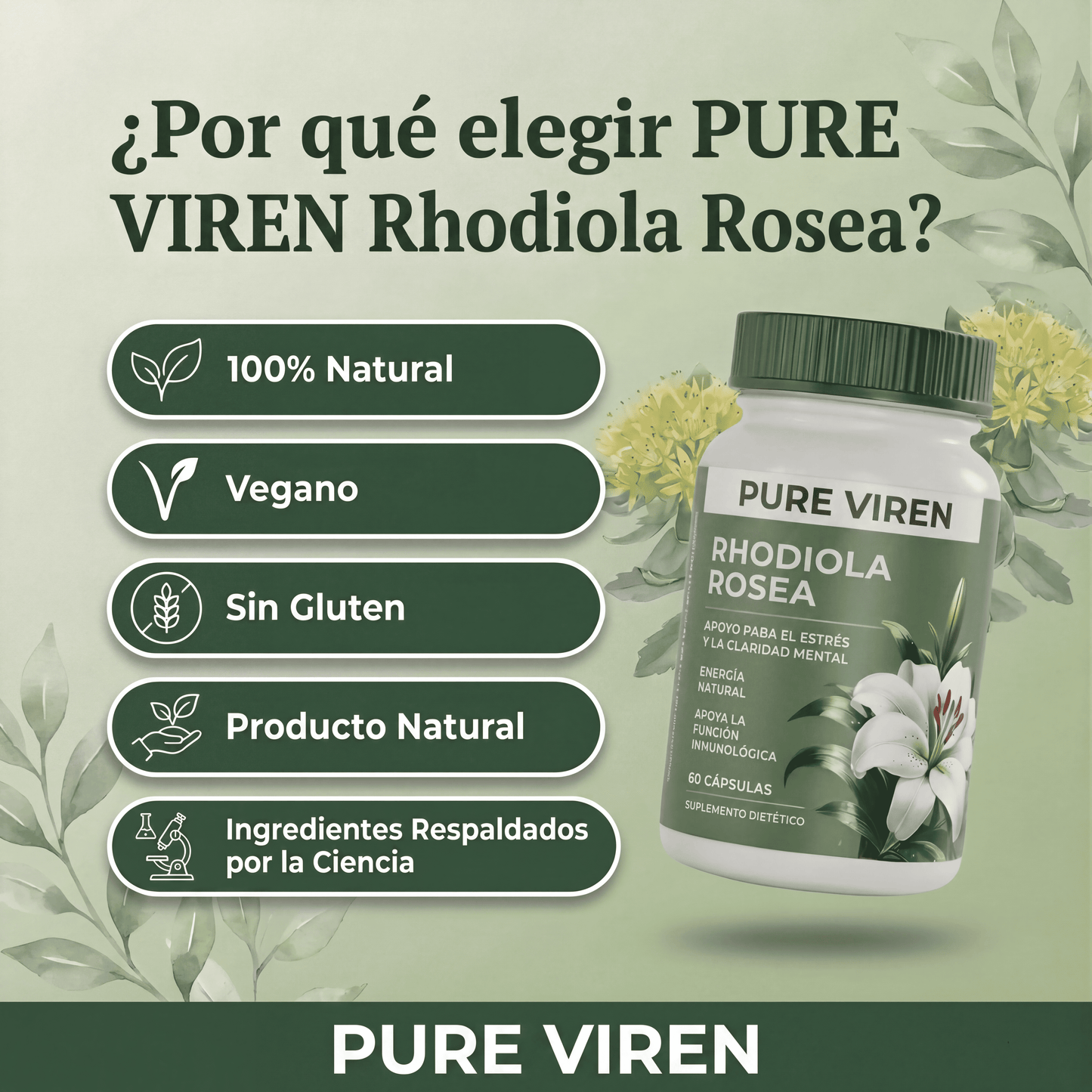 Rhodiola Rosea