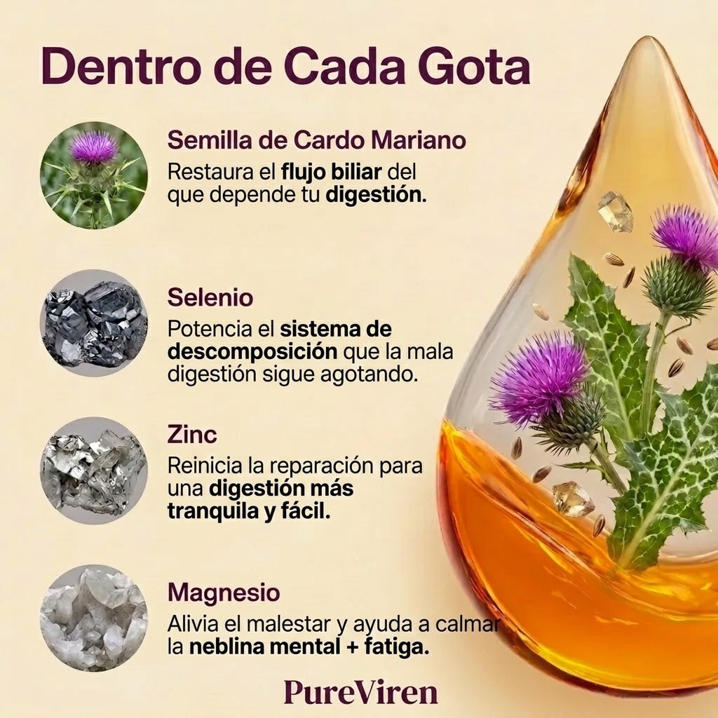 Pureviren® Equilibrio Digestivo