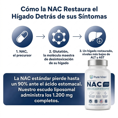 NAC liposomal